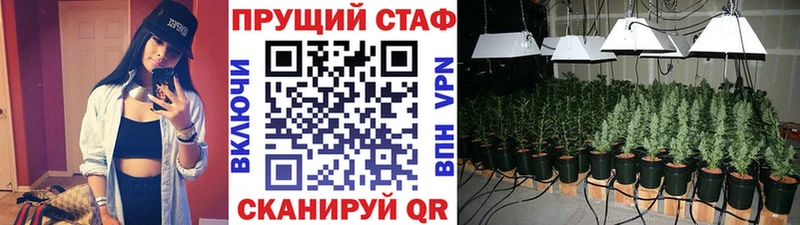 Где купить наркоту Елизово Марихуана  Меф мяу мяу  Псилоцибиновые грибы  ГАШИШ 