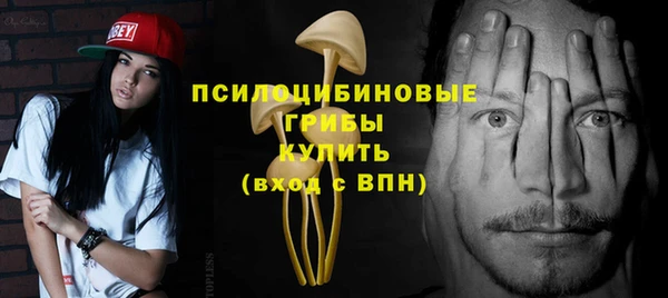 спиды Алзамай