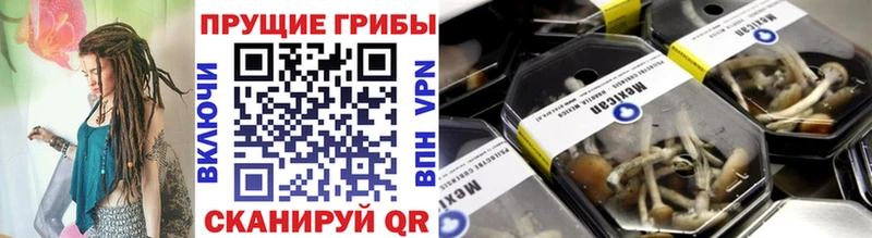 mega ссылка  Елизово  Галлюциногенные грибы Psilocybe 
