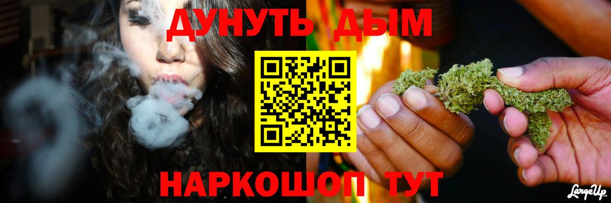 Конопля гибрид Елизово